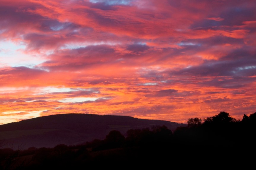 Photography Club Images