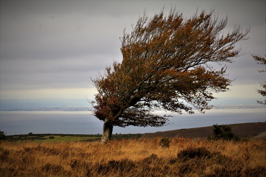 Tuesday 8th: Photography&nbsp;Club