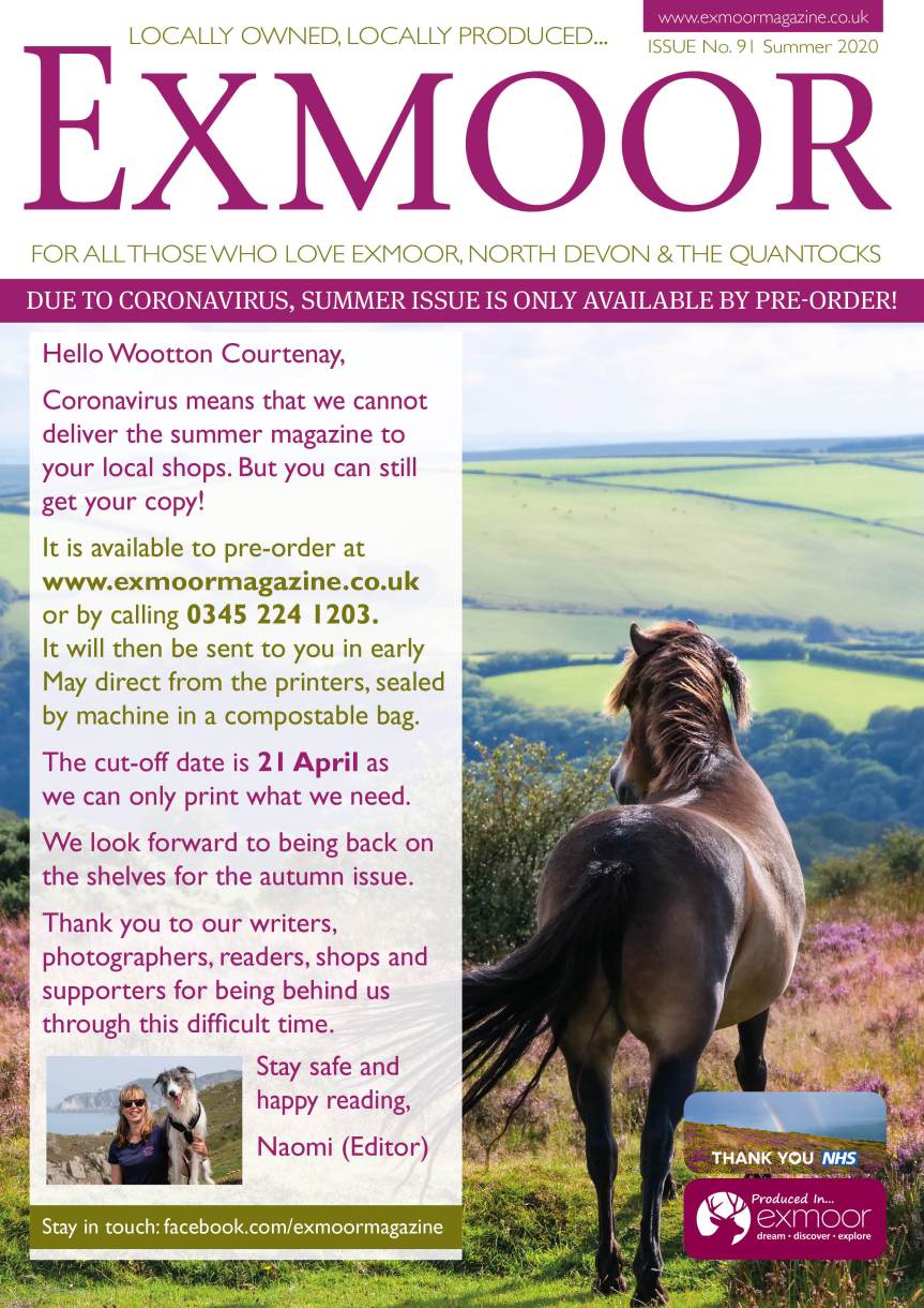 Wootton Courtenay poster