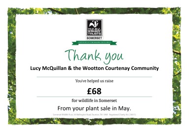 2020 01 Fundraising Thank You certificate single A5 TEMPLATE