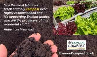 Testimonial-web-Anne&amp;pic-Lawton